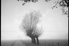 Image-2-1