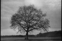 Image-3-3
