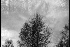 Image-4-3