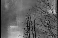 Image-5