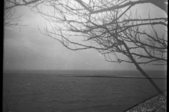 Untitled38452