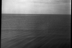 Untitled38453