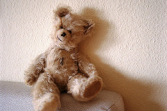 Image-1-11-2