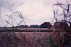 Image-1-2
