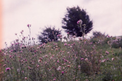 Image-1-5-2
