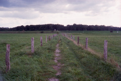Image-1-7