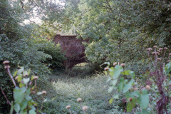 Image-1_