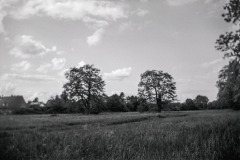 Untitled-4