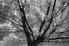 Image-1-18