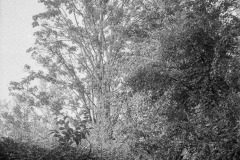 Image-1-6
