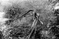 Image-1-8