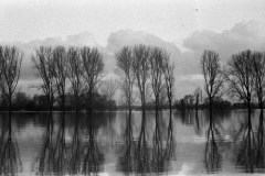 Image-21