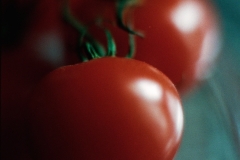 Image-1-12