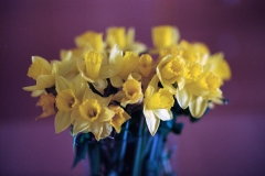 Image-1-15