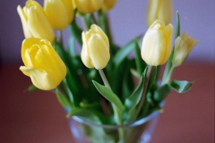 Image-1-20