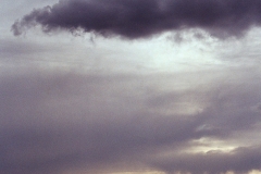 Image-1-4