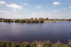 Image17