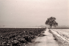Kodak400CN-15-2-1