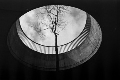 KodakTriX-15-1