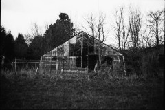 1_Image-4