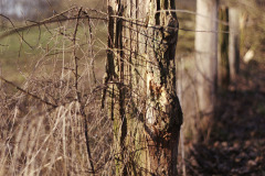 Image-1-28