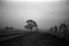 Image-4