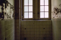 Image-16