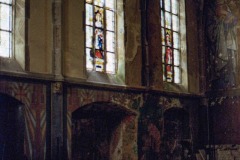 Image-19