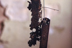 Image-2