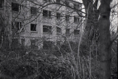 Ilford20-1