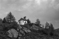 Image-1-10