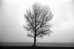 Image-1-2_