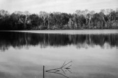 Kodak-BW-8