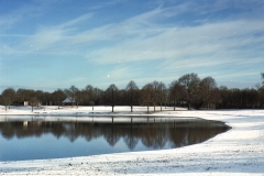1_Image9
