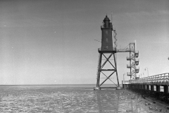 Image-1-11