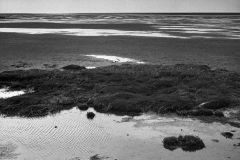 Image14
