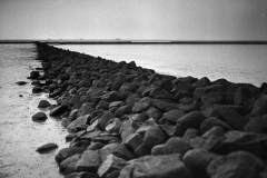 Image15
