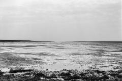 Image19-2