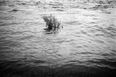 Image8