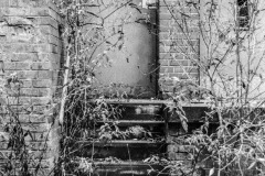 Image25