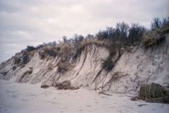 Image-1-12