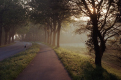 Image-1-8