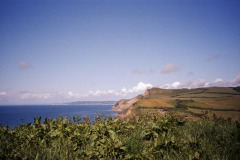 Image-1_
