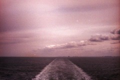 Untitled-24-50