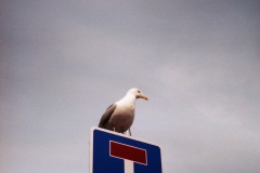 Untitled-25-Bearbeitet