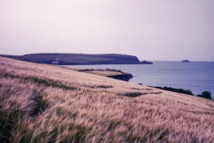 Untitled-27