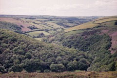 Untitled-38