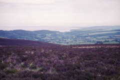 Untitled-39