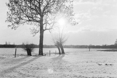 Image-1-10