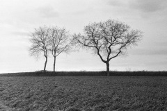 Image-1-26